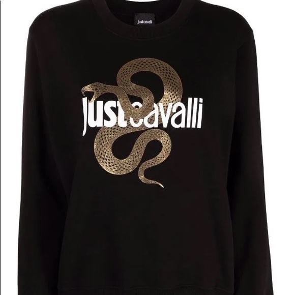 🌻Just Cavalli
snake logo sweatshirt - Picture 10 of 16